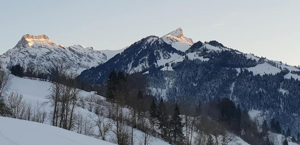 Gasthof Engelberg Scharnachtal Exterior foto